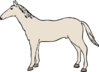 White Horse Clip Art